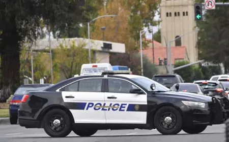US Woman, 32, Arrested For Allegedly Chopping Mother, Cooking Body Parts