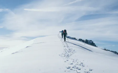 Bodies Of 5 Russians Retrieved From Worlds 7th-Highest Mountain In Daring Op