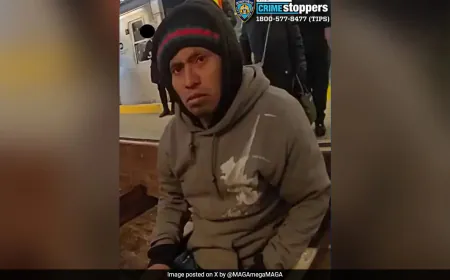Man Sets New York Woman On Fire, Watches Her Burn To Death Inside Train