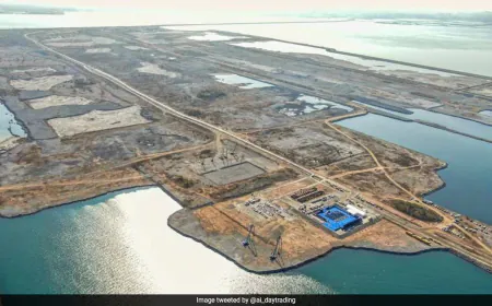 Dalian Jinzhou Bay: All About World's Largest Artificial Island Airport