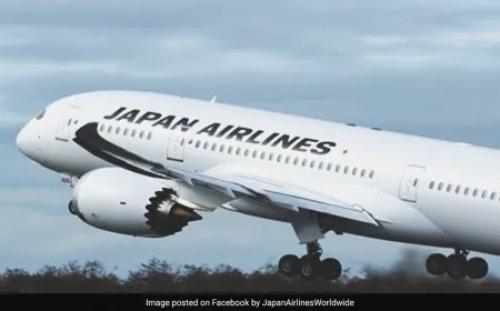 Japan Airlines Hit By Cyberattack, Domestic, International Flights Delayed