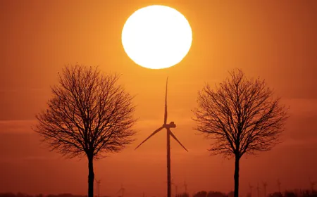 Climate Change Caused 41 Additional Days Of Extreme Heat This Year: Report