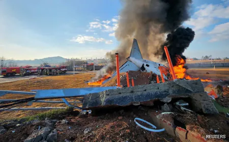 179 Feared Dead, 2 Rescued After Plane Crashes On South Korea Runway