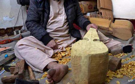 UNESCO-Listed Musical Instrument 'Rubab' Stifled In Afghanistan