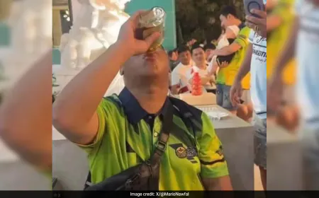 Thai Influencer Dies After Guzzling Whisky Bottles In Rs 75,000 Challenge