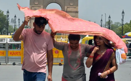 Climate Crisis Brought Extreme Weather, Heat In 2024: UN