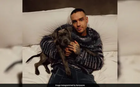 Liam Payne's Death: 5 Indicted For Manslaughter, Supplying Drugs To Singer