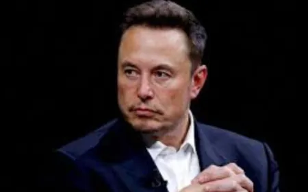 Germany Accuses Elon Musk Of Election Interference Over AfD Endorsement