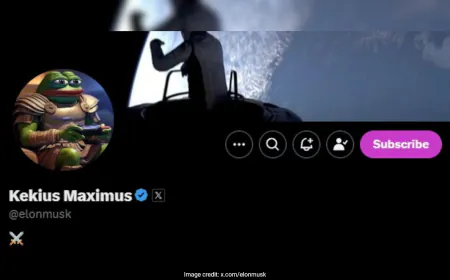 Musk Changes His Name On X To 'Kekius Maximus', Uses Pic Of 'Pepe The Frog'