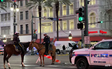 "Hell Bent On Carnage": 10 Killed As Pickup Truck Rams Crowd In New Orleans