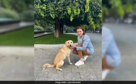 Moldova's 'First Dog' Goes Missing On New Year's Eve, Found A Day Later