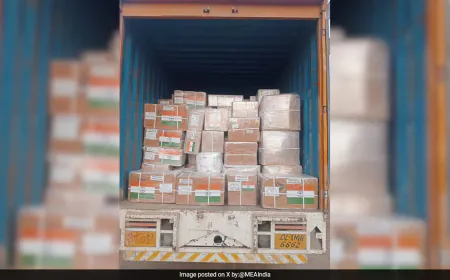 India Sends 1st Batch Of Humanitarian Aid To Bolivia To Combat Forest Fires