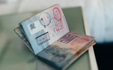 New Zealand Changes Visa Rules To Meet Labour Demands. Know Details