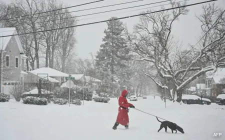 Winter Storm In US: 1.75 Lakh People Without Power, 2,400 Flights Cancelled