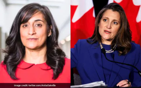 Who Will Replace Trudeau As Liberal Party Leader: Here Are The Contenders