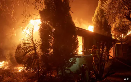 "No One Knew What To Do": California Wildfire Sparks Evacuation