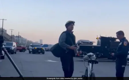 Man's Emotional Plea To Save Dogs Amid Pacific Palisades Wildfire Is Viral