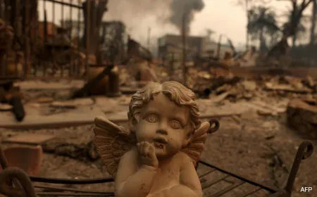 Los Angeles Wildfire: State Of Emergency Declared As 5 Dead In California