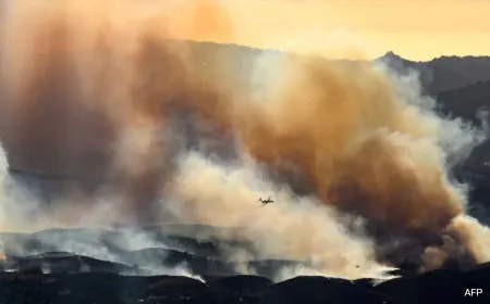 Air Tankers Fight Los Angeles Wildfires From Frantic Skies