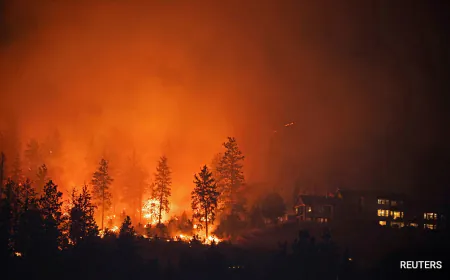 "You Burn...": Israel's Post On Los Angeles Wildfires Draws Backlash