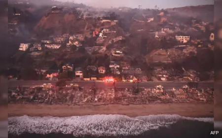10 Dead, 10,000 Buildings Destroyed: Los Angeles Wildfires In Numbers