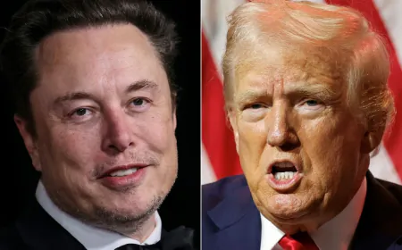 What Caused Los Angeles Wildfires? Musk, Trump Blame Diversity And Small Fish