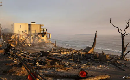 Here's What LA Wildfire Survivors Found In Their Now-Destroyed Homes