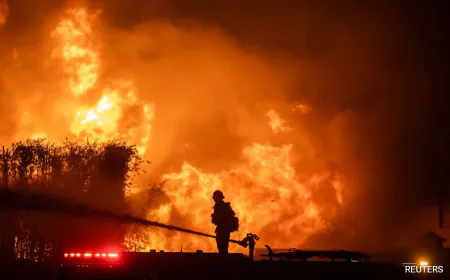 LA Wildfires To Be Costliest US Disaster, To Inflict $135 Billion In Losses