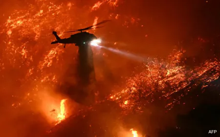16 Dead In Los Angeles Fire, "Not Looking Good," Say Officials: 10 Points