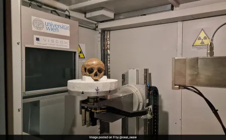 Truth About Century-Old Skull, Believed To Be Of Cleopatra's Half-Sister