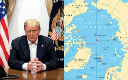 Donald Trump Wants To Buy Greenland: How Much Would It Actually Cost?