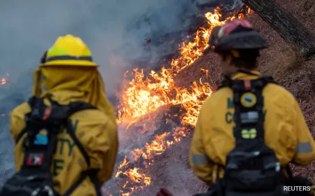 24 Dead In Los Angeles Blaze, Strong Winds Trigger 'Fire Tornado': 10 Points