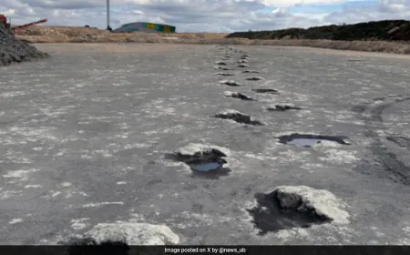 'Dinosaur Highway' With 200 Footprints From Jurassic Period Found In UK