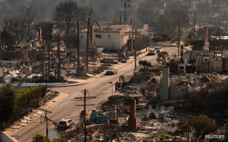 A Man And His Son, A Woman Who Stayed Behind With Pets Among LA Fire Victims