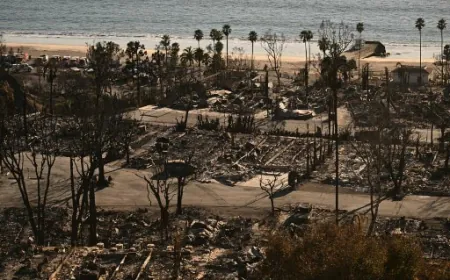 LA Millionaire Offered "Any Amount" To Save Home From Fire. It's Now Burnt