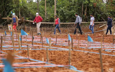 Buried Alive? Surreal Story Of How Covid Took Over A Remote City In Amazon