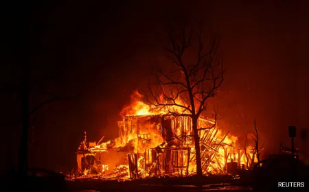 Blog: 'I Sleep With One Eye Open': LA Residents On Life In A City On Fire