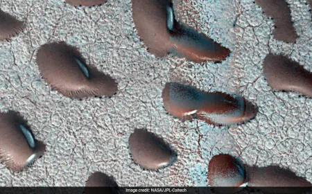 Kidney Bean-Shaped Sand Dunes Spotted On Mars Could Hold Clues To Life