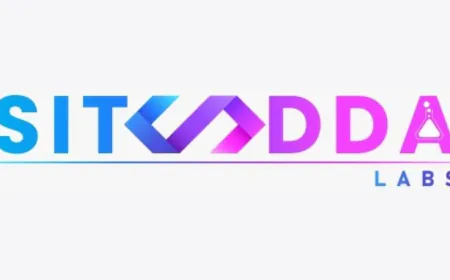 The Rise of Siteadda Labs as India’s No. 1 Website Development Company