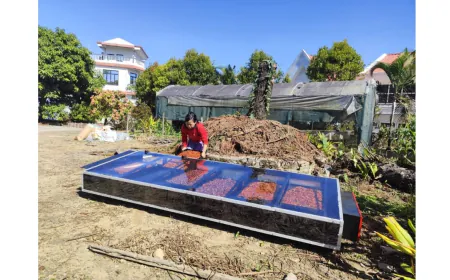 Rudra Solar Energy Brings a Sunshine Revolution to Rural India with New-Age Solar Dryers