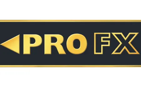 PRO FX Tech Limited launches Rs 40.30 crore IPO