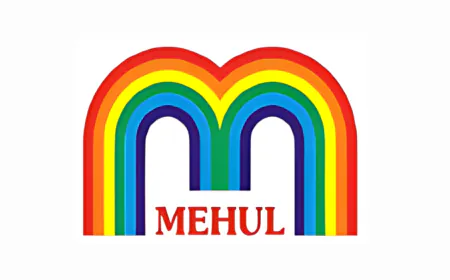 Mehul Colours Limited IPO Opens on 30th July, 2025
