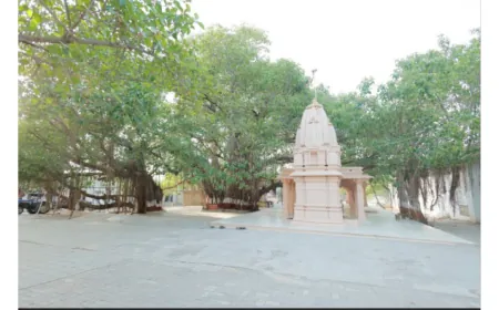 Historic Paryushan Festival at Siddhavad Tirth, Palitana